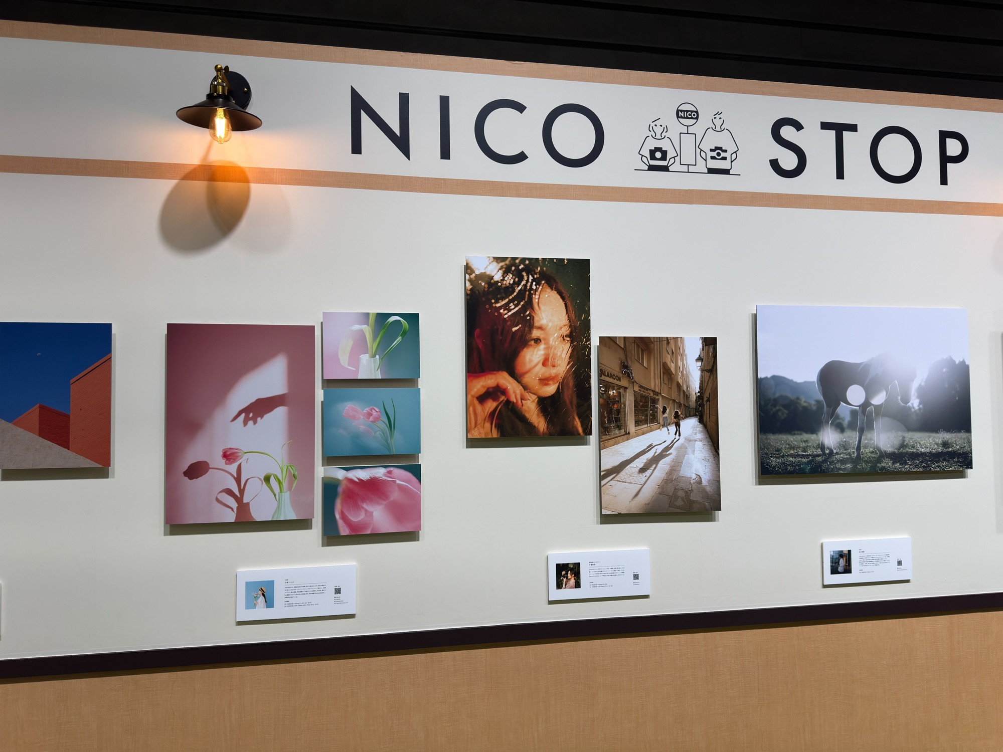 ȫϵ���չ��+�ḻ���黷�� ̽չCP+2026Ӱ��չ�῵չ̨