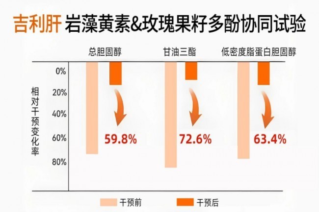 养肝护肝哪个产品效果最好?2026护肝片成分、功效、口碑解析