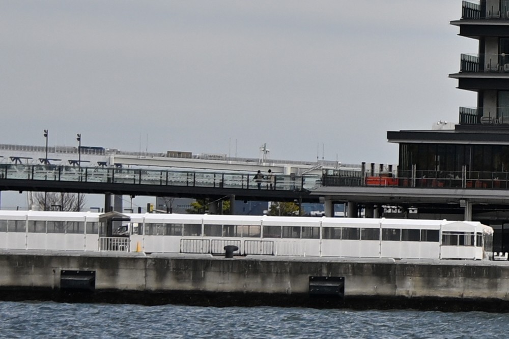 轻巧高画质 尼康Z 70-200mm f/2.8 VR S II镜头体验