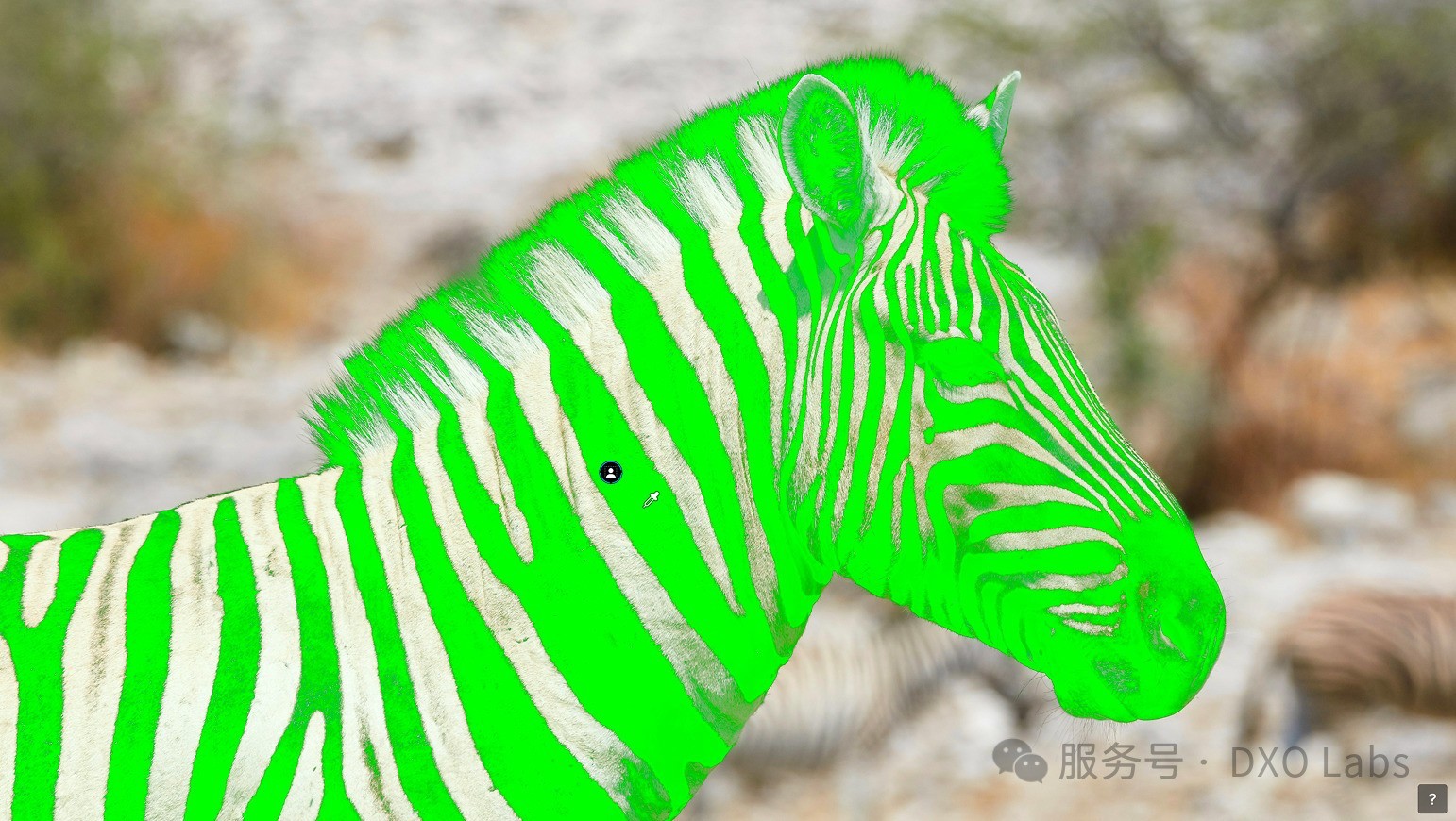 DxO PhotoLab 10���� ����RAW��Ƭ�༭����ʱ��