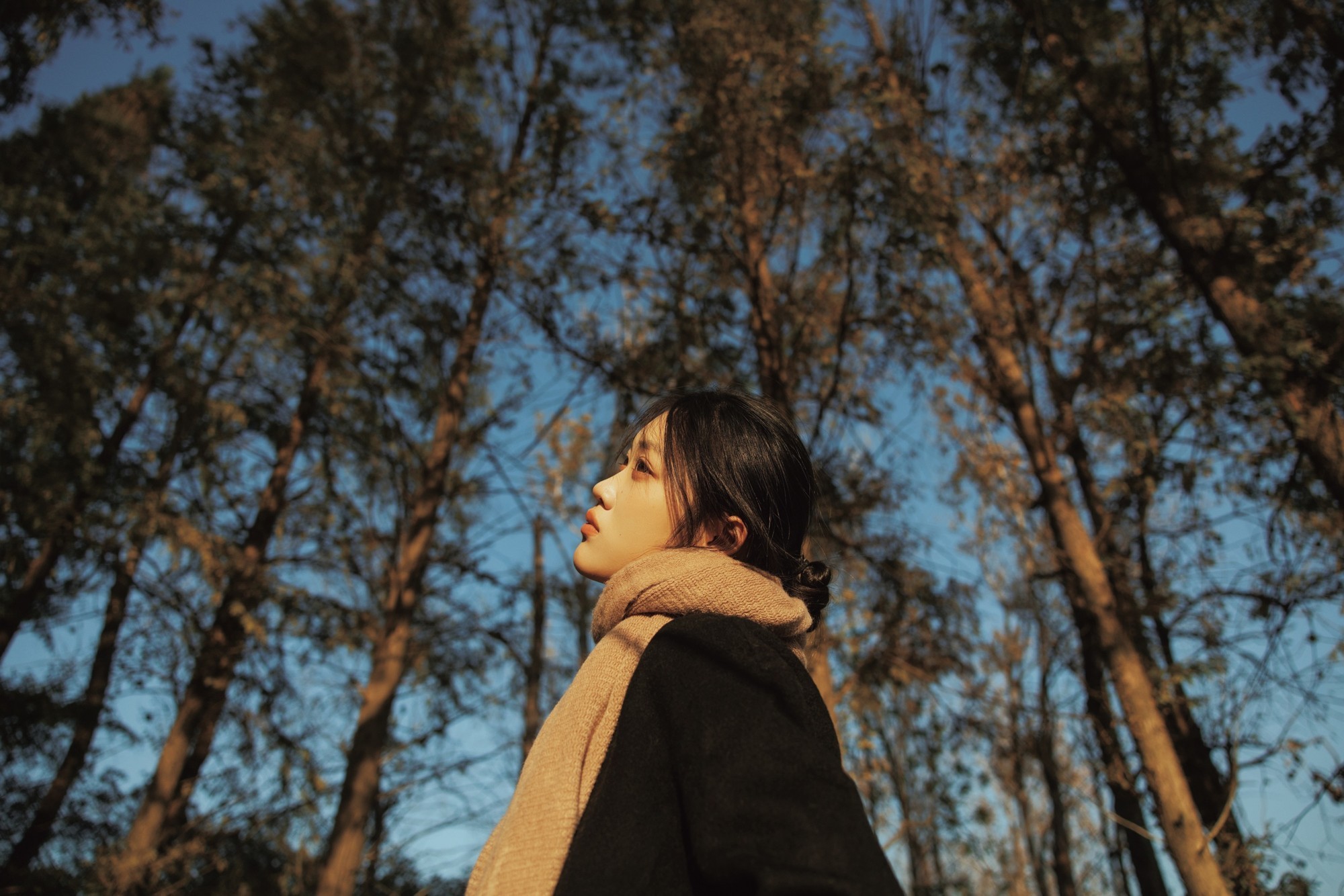 Ӱӵ üEOS R5 Mark IIӰ