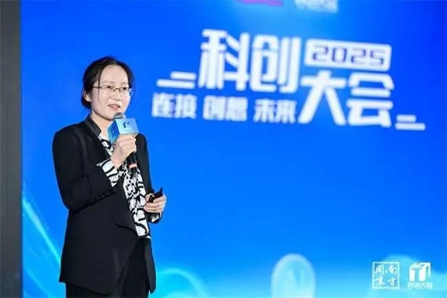 Ϸĩ2025ƴ᣺۴뢻չƪ