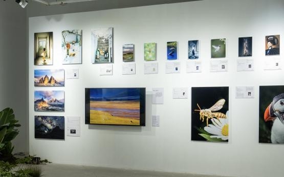 “雕刻光影 制胜瞬间:索尼微单15周年摄影展”正式亮相集美·阿尔勒摄影季