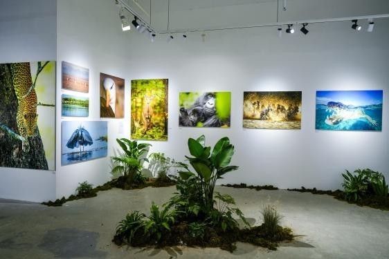 “雕刻光影 制胜瞬间:索尼微单15周年摄影展”正式亮相集美·阿尔勒摄影季