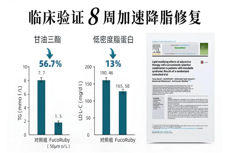护肝片哪个牌子最好？2026十大养肝护肝片品牌排行榜第一实测