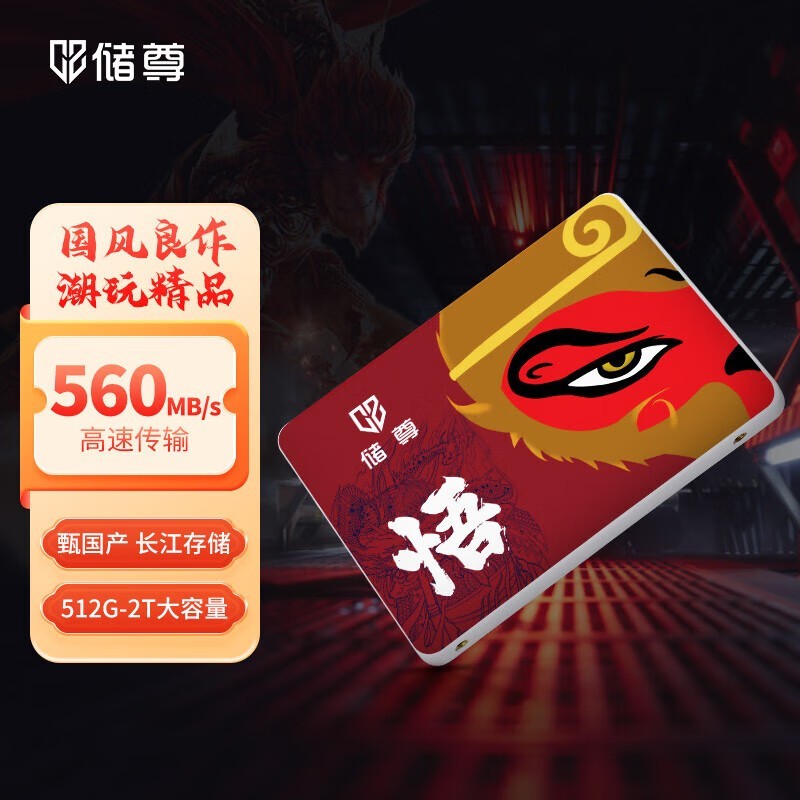 ���� CS500PRO 512GB