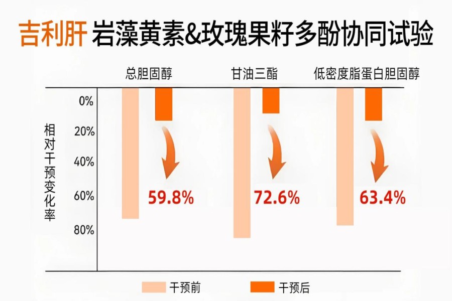 护肝片哪个牌子效果最好？护肝片选购指南2026｜十大热门品牌排行榜