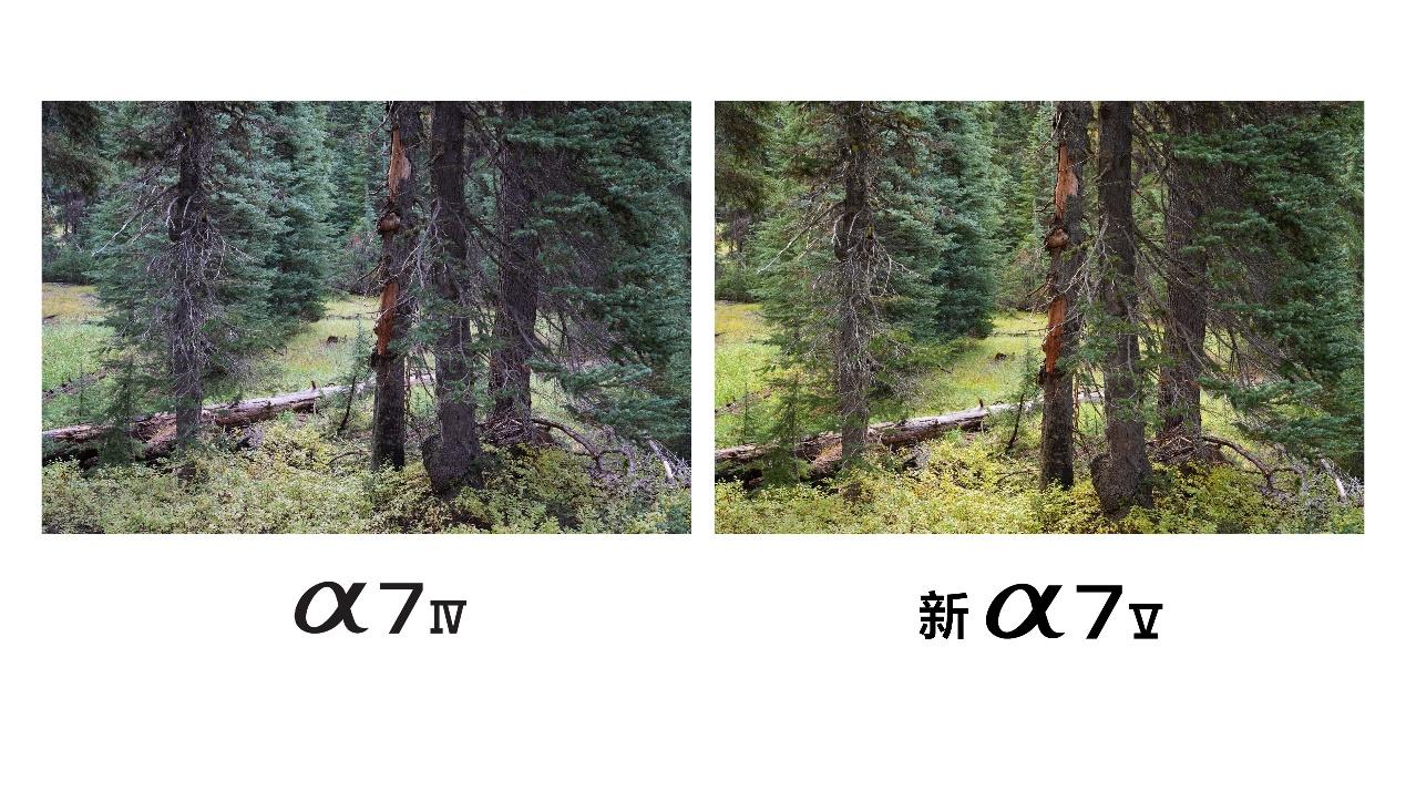 »׼ ٶ  ᷢȫ΢»׼Alpha 7 V