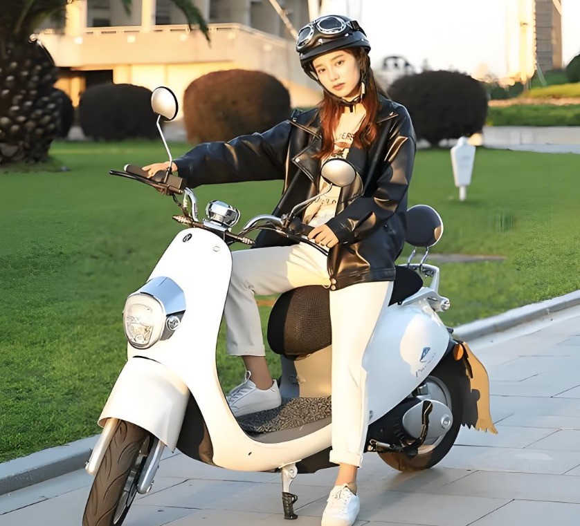 2026�綯���ֳ�ѡ��ȫ���ԣ���͸�¹��꣬�ܿ���ҵ�ӣ�ѡ�Դ�����