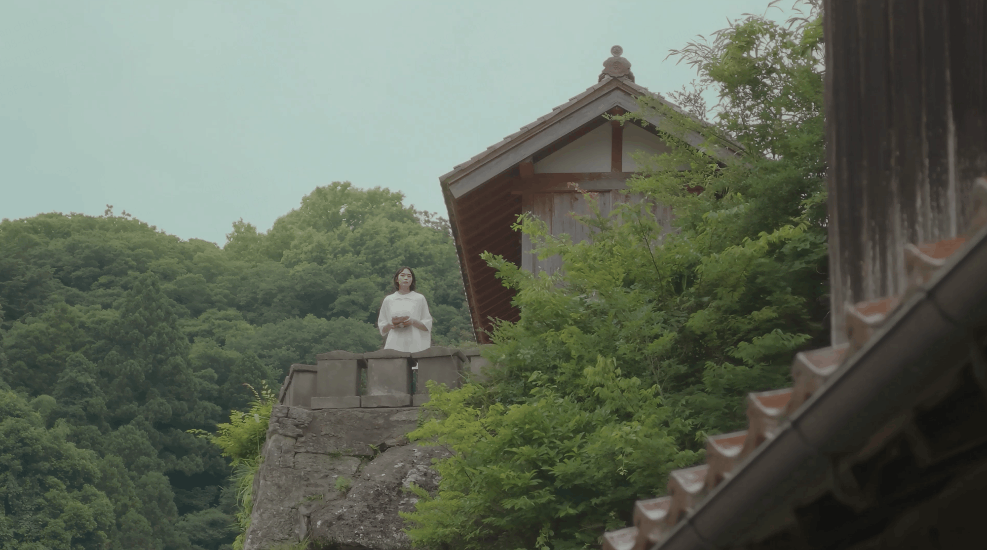 ��OsmoPocket 4PЯ����Ӱָ���񱾸�Ҳ�Ƴ���Ƭ��Ѱ��������