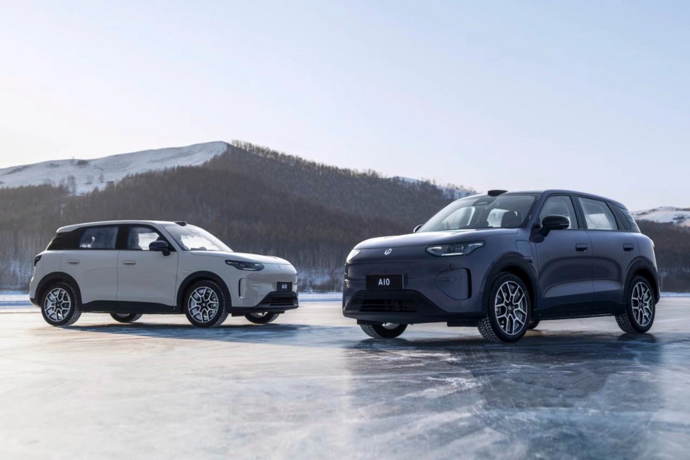 2026��3���ص��³��̵� 10�򼶴�������������ԴSUVȫ����