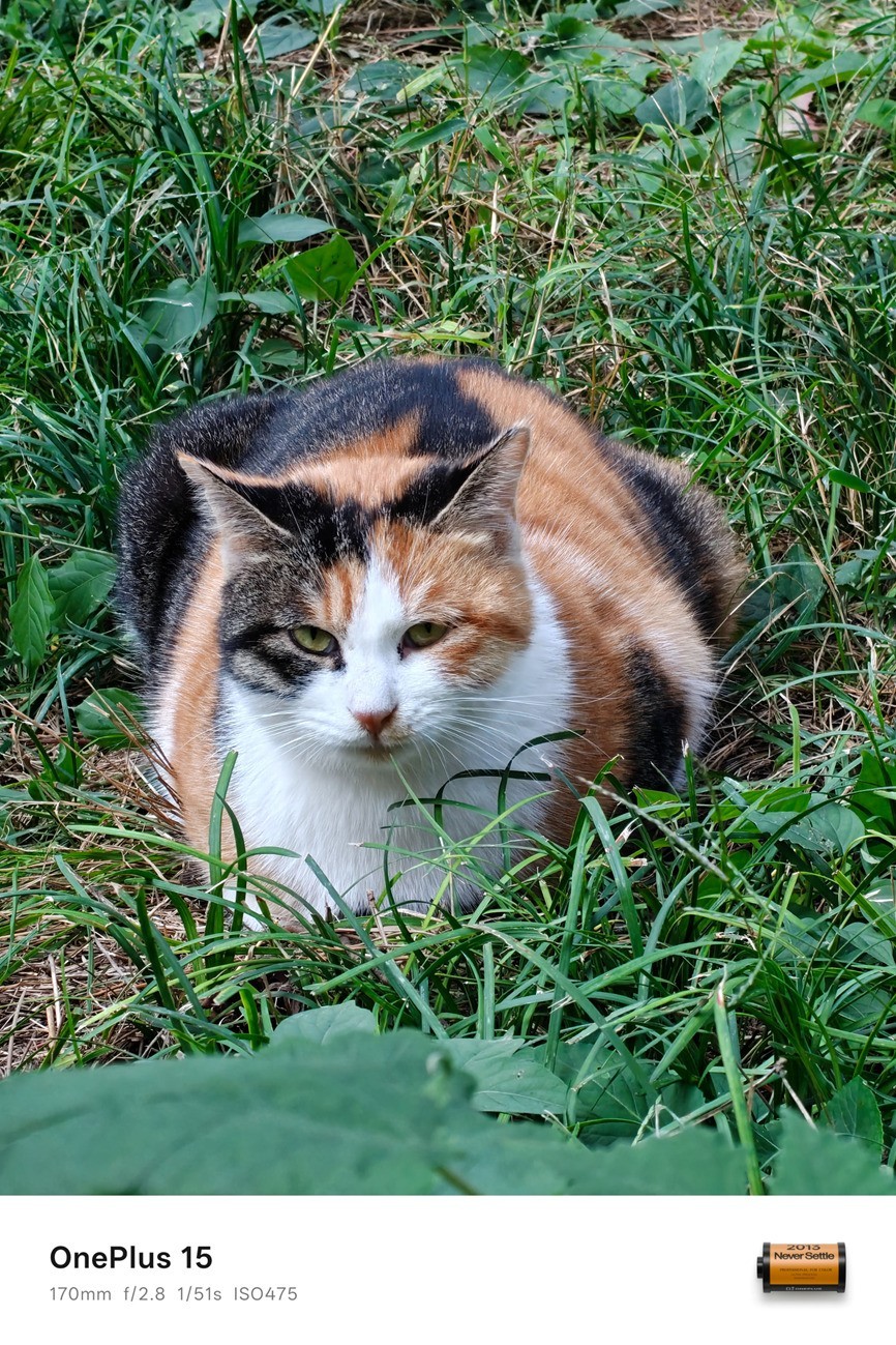 һ��15ȫ������ ����165����֡��Ϸʱ��