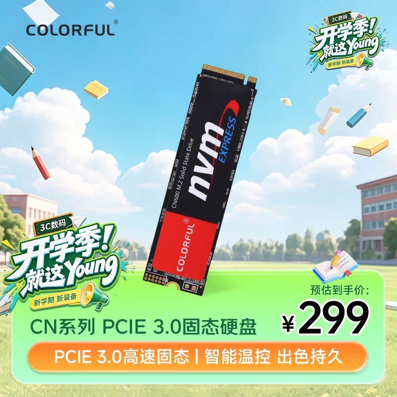Colorful CN600��256GB��