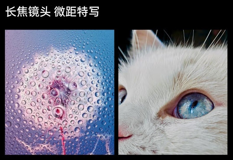 ���Ŀ��۵����ֻ���˭�������ĵ�����΢������Ƭ��