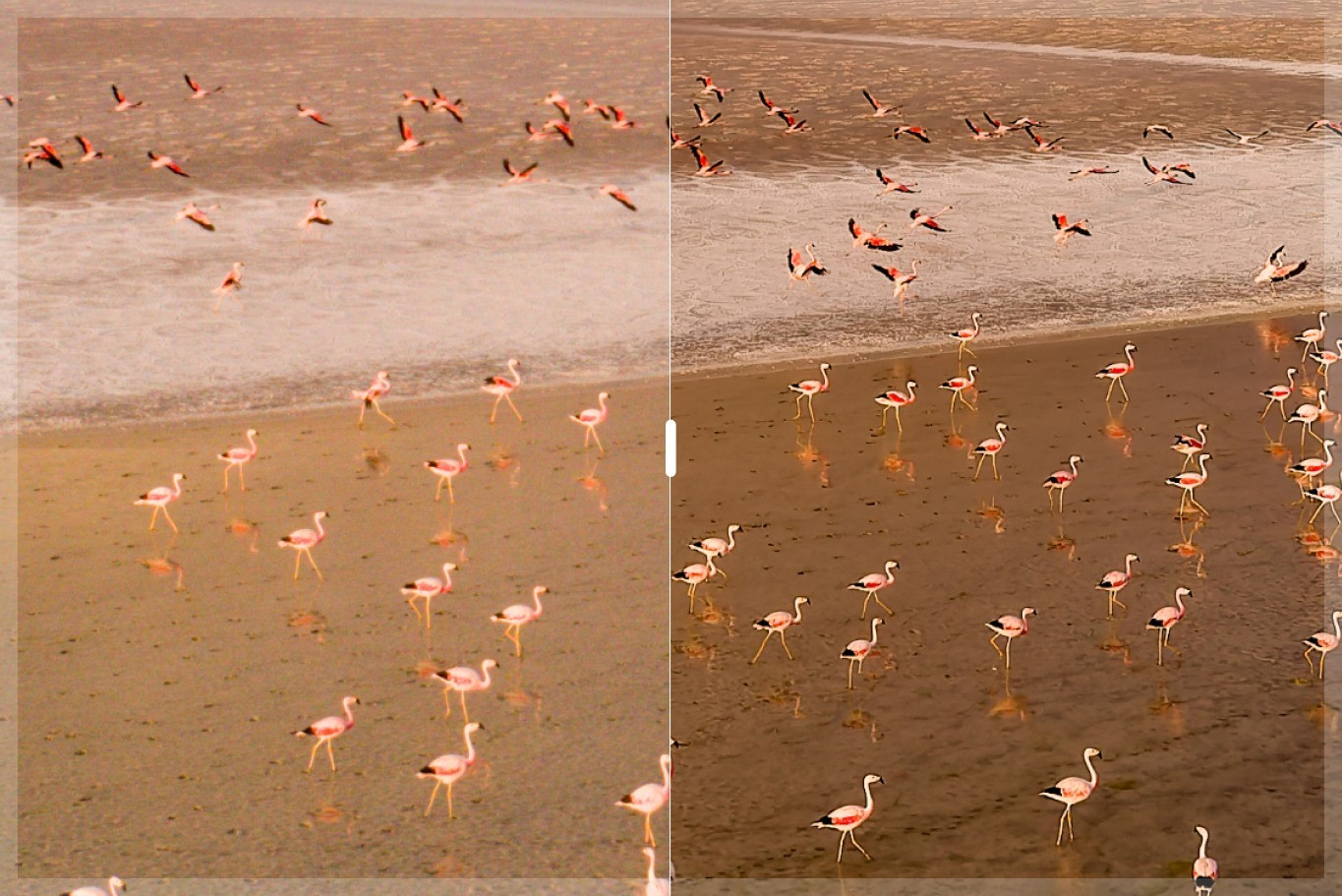 DxO PureRAW 6ÒÔDeepPRIME XD3ÖØÐ¶¨ÒåͼÏñÆ·ÖÊ£¬²¢´ó·ùËõ¼õDNGÎļþÌå»ý