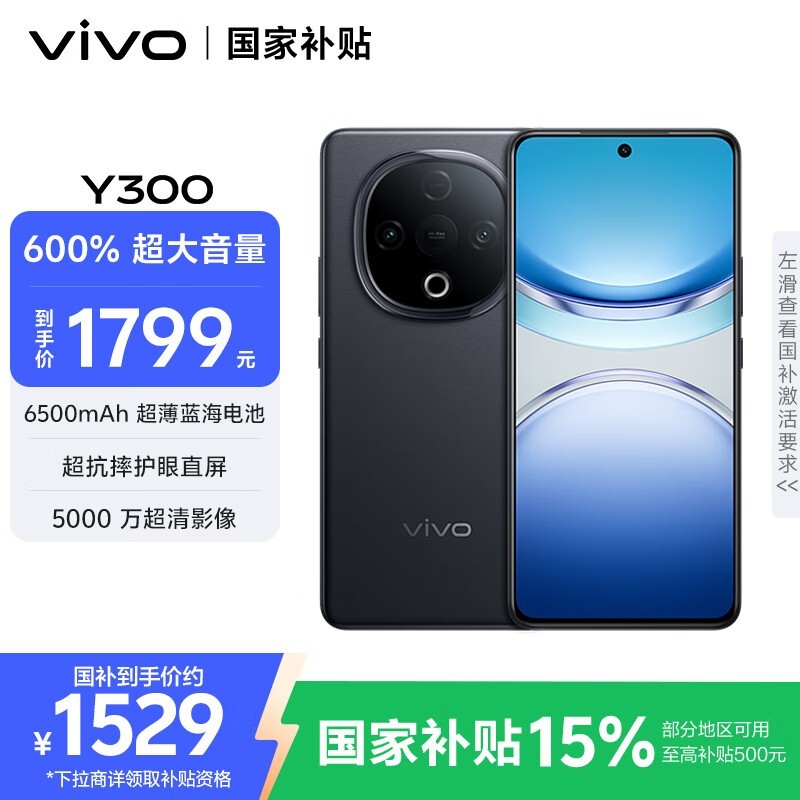 vivo Y300(12GB/256GB)