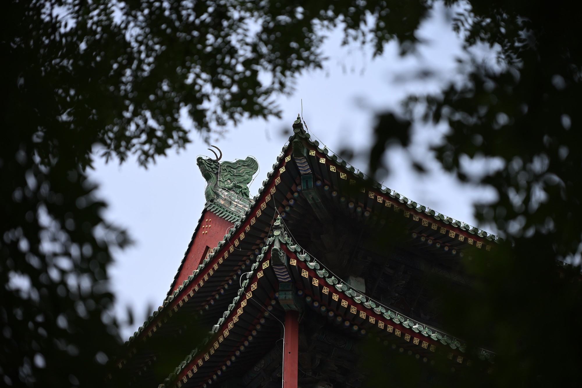 �῵Z6III+��˶� Z 24-120mm f/4 S��һ���㶨���д�Ƭ