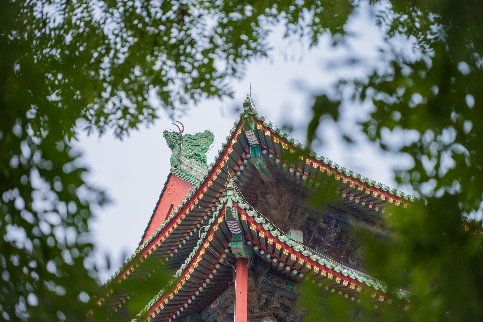 �῵Z6III+��˶� Z 24-120mm f/4 S��һ���㶨���д�Ƭ