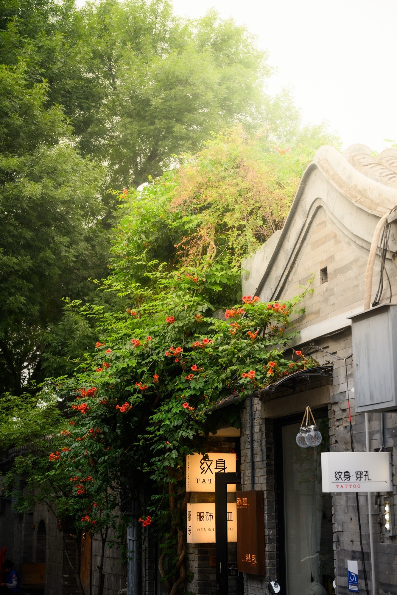 �῵Z6III+��˶� Z 24-120mm f/4 S��һ���㶨���д�Ƭ