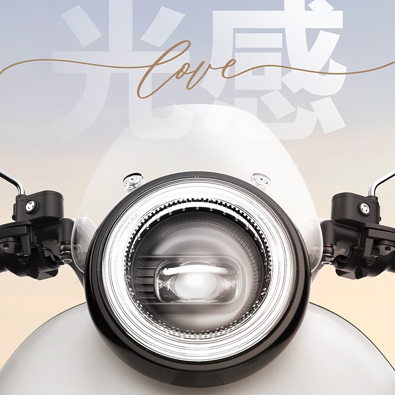 爱玛Q5新国标成人电自京东促销价3949元