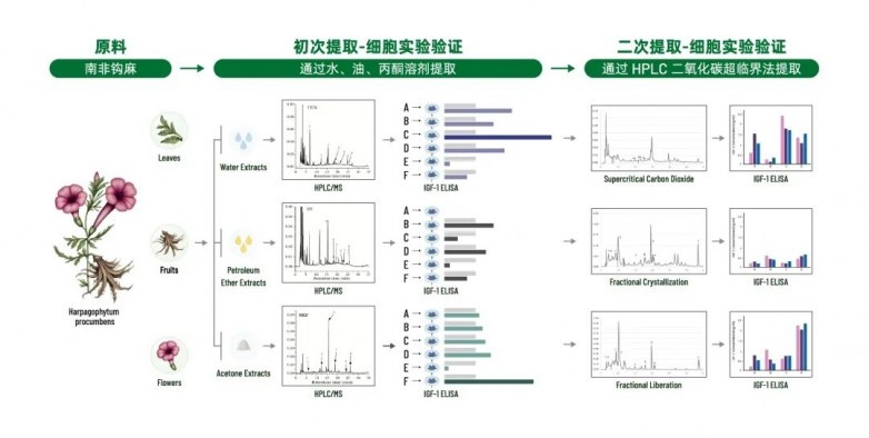 儿童生长领域新势力!阿基孚以创新科技推动儿童身高健康发展