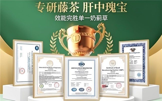 进口水飞蓟什么品牌好？十大进口水飞蓟品牌深度解析，生产规范品质合规