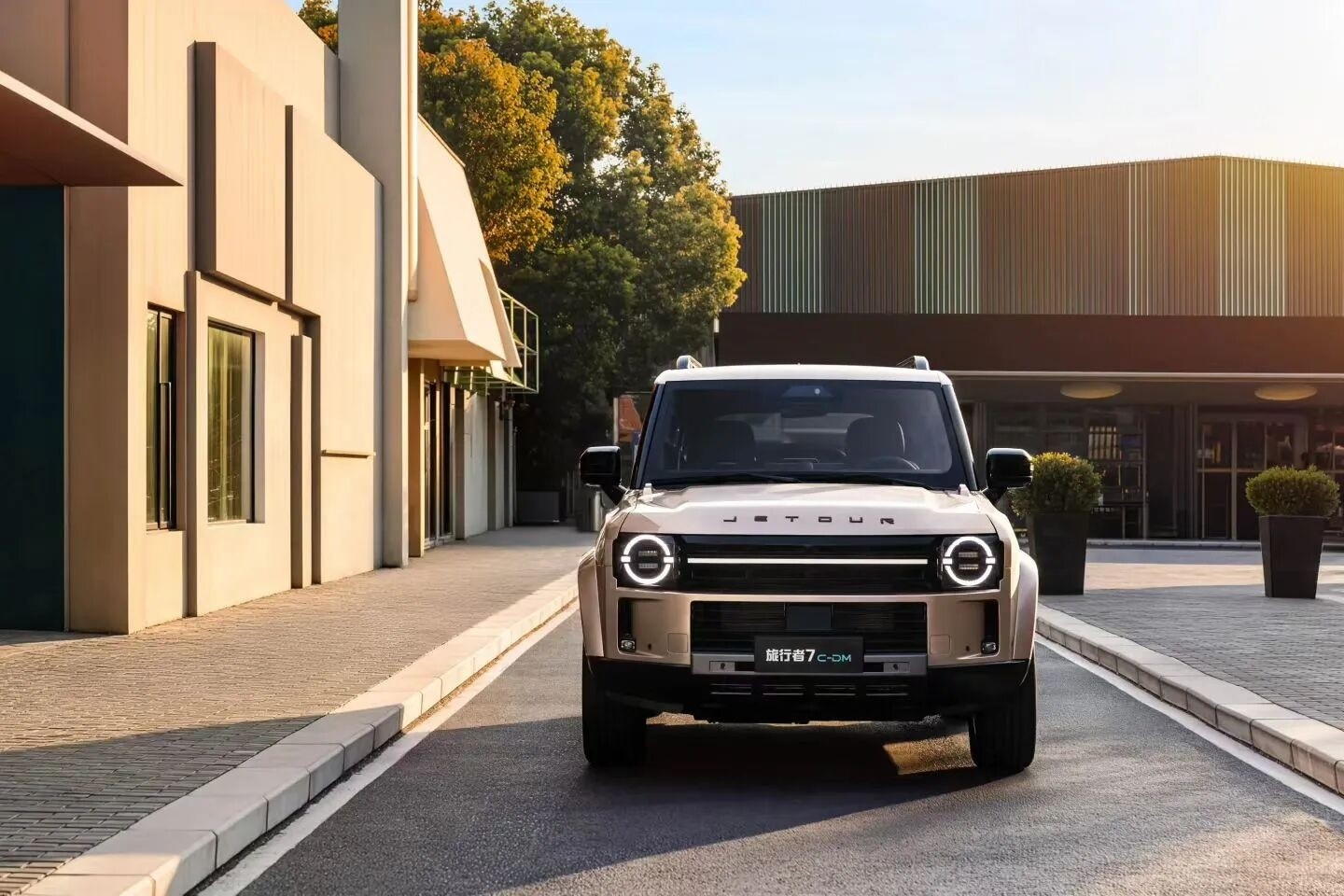 ���ó���SUV����Щ��20�򼶼��ͨ�����Ԫ���г����̵�
