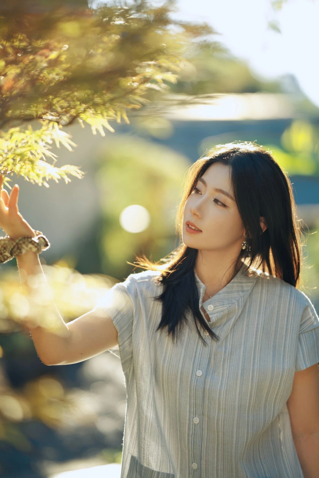 SIGMA���� 85mm F1.2 DG �콢�ǳ���ڹ�����񶨽�֮��