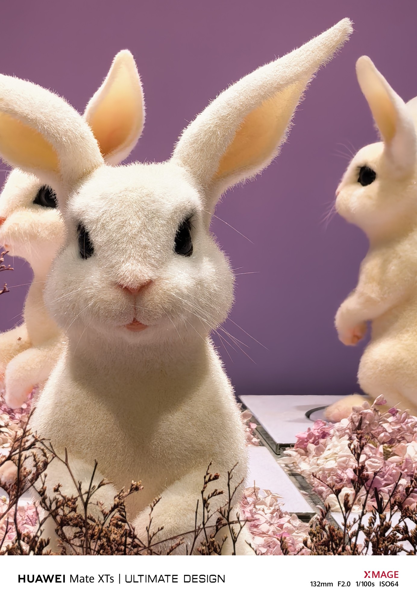 ��ΪMate XTs �Ƿ���ʦȫ�����⣺17999����iPhoneֵ��