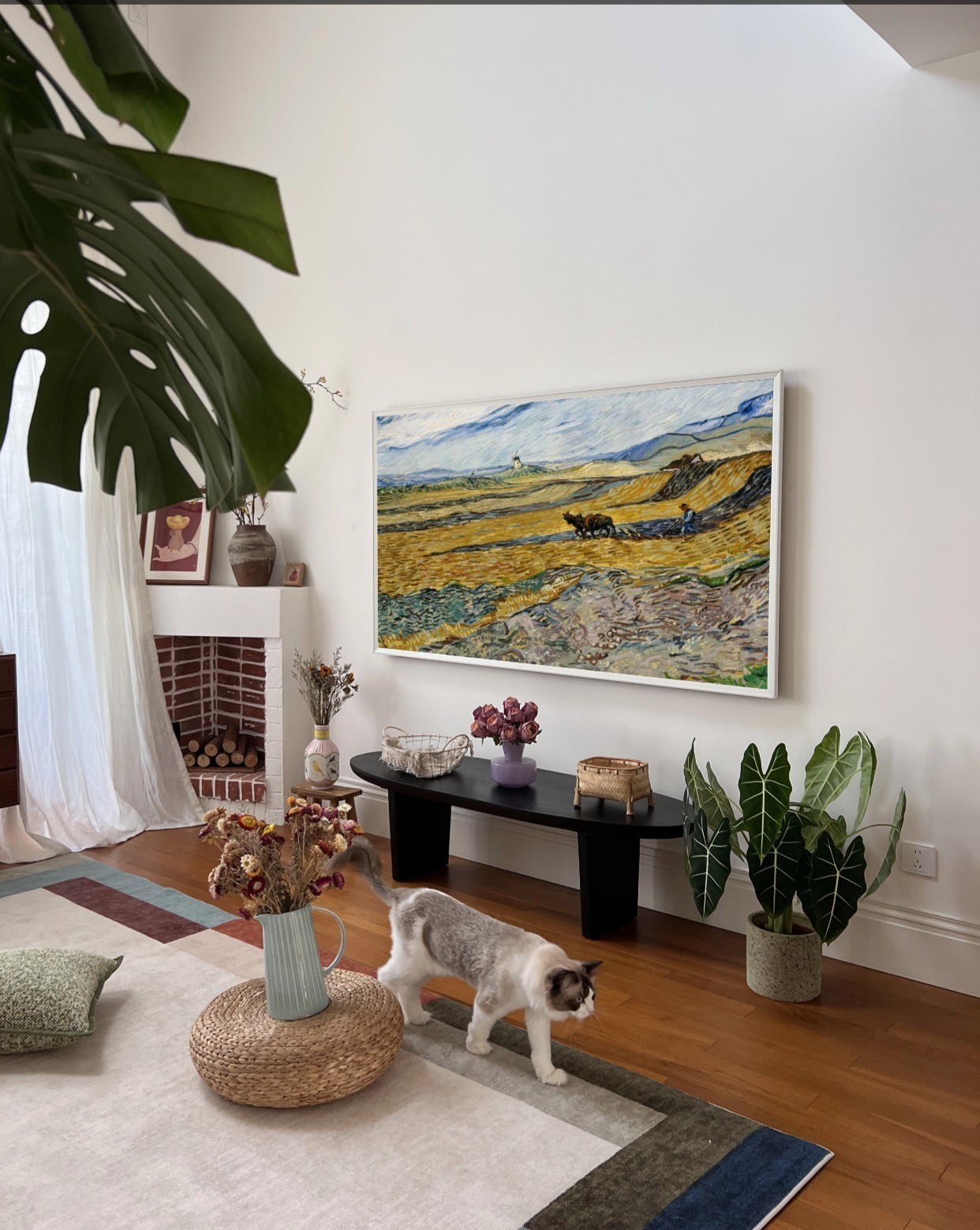 创维A7F Pro收获万条好评 解码高端家装美学新范式