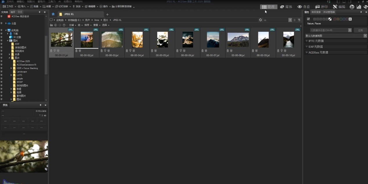 ACDSee ͼӰ¹¤·» 2026ȫз¢²¼£ºAI Çý¶¯Êý×ÖÊÓ¾õ¹¤×÷Á÷¸ïÐÂ