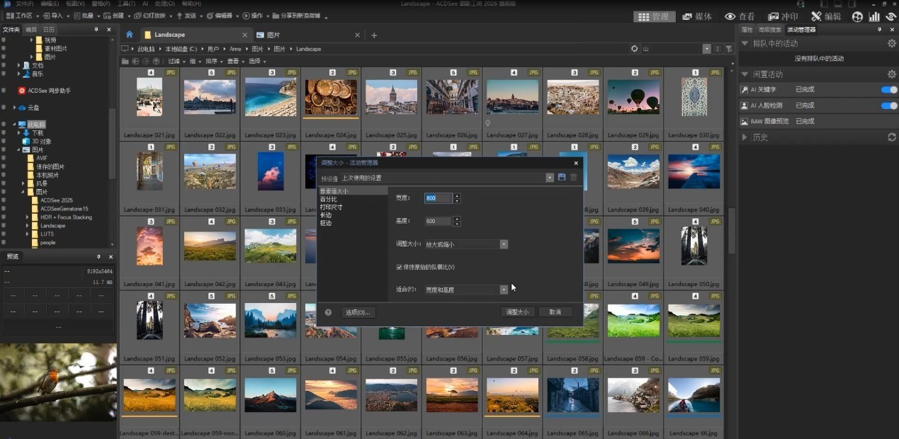 ACDSee ͼӰ¹¤·» 2026ȫз¢²¼£ºAI Çý¶¯Êý×ÖÊÓ¾õ¹¤×÷Á÷¸ïÐÂ