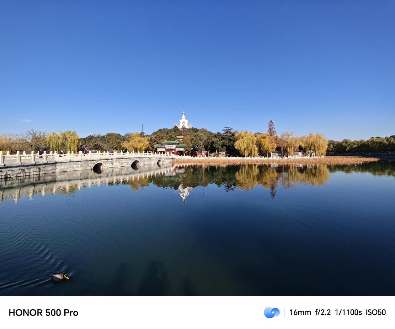 3000元档位值得买的手机：看完这四款 我必买荣耀500 Pro