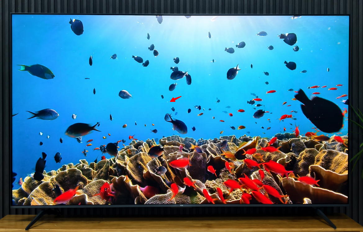 TCL T7L Pro⣺2025ȫܾƾʲôҵ±ˣ