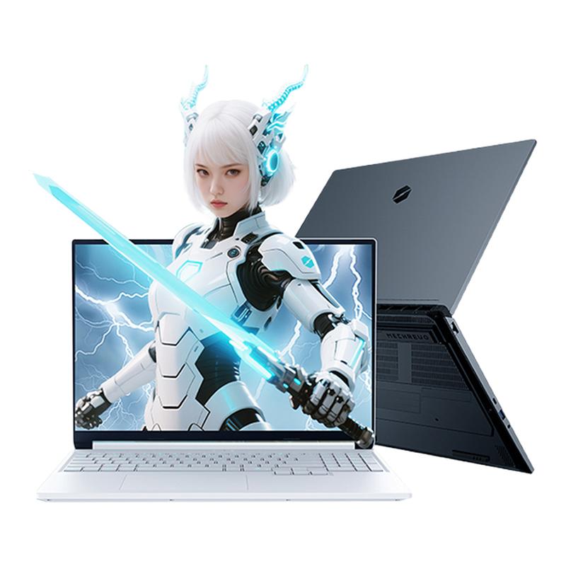 机械革命 蛟龙16Pro R9 RTX5060 16GB 512GB