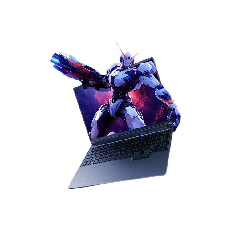国家补贴、淘金币可用:机械革命 旷世X i5-14450HX 5060 星际灰16G/512GB