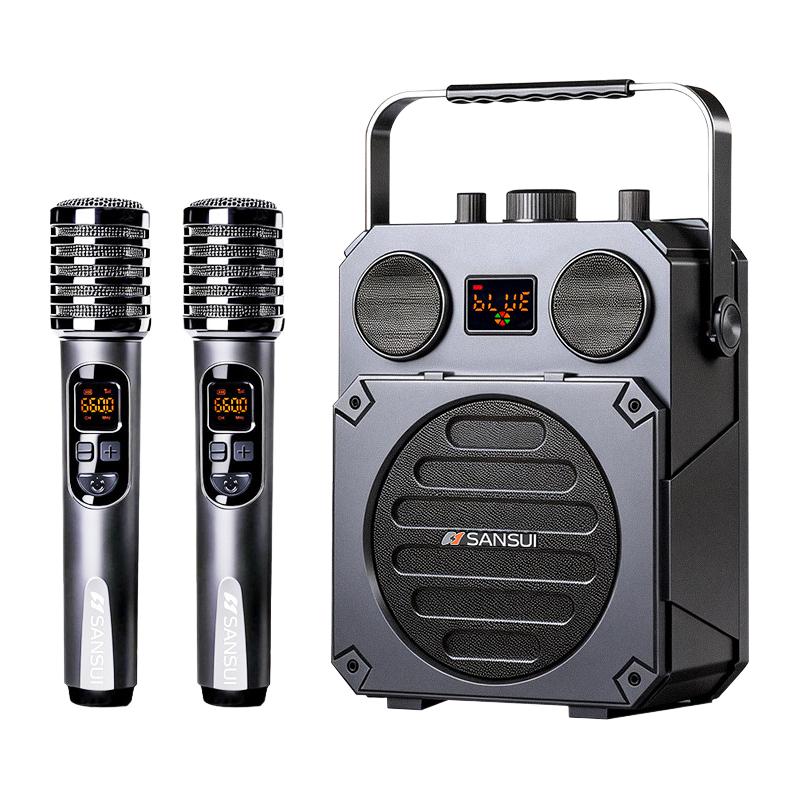 山水 HS02 K歌一体 蓝牙音箱 （800w 无话筒）
