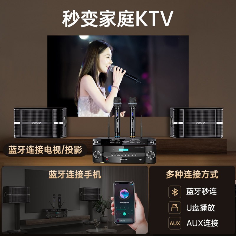 威斯汀 A9家庭ktv音响套装卡拉ok家用组合音箱功放k歌会议设备全套
