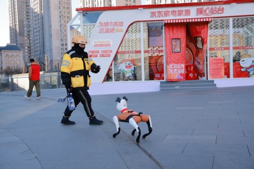 机器狗互动、机器人陪下棋 京东家电家居暖心站台落地大连