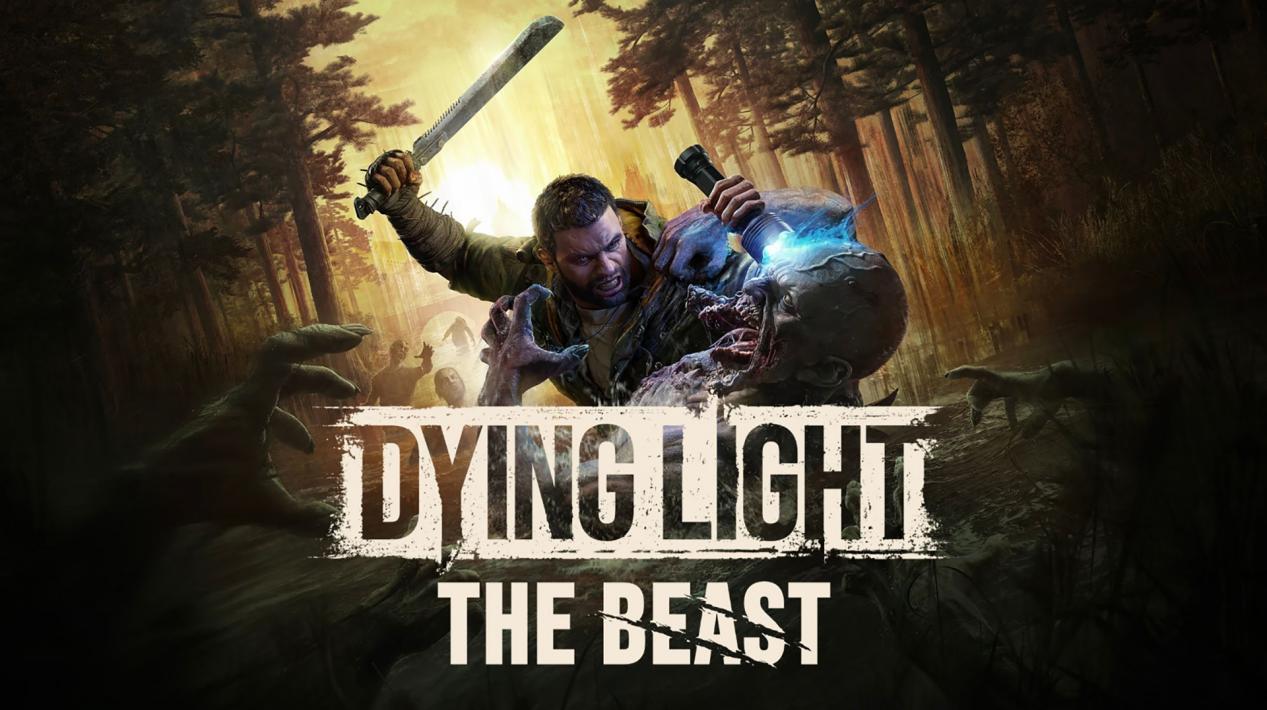 2025꣬ĿϷ㰾ҹֵã