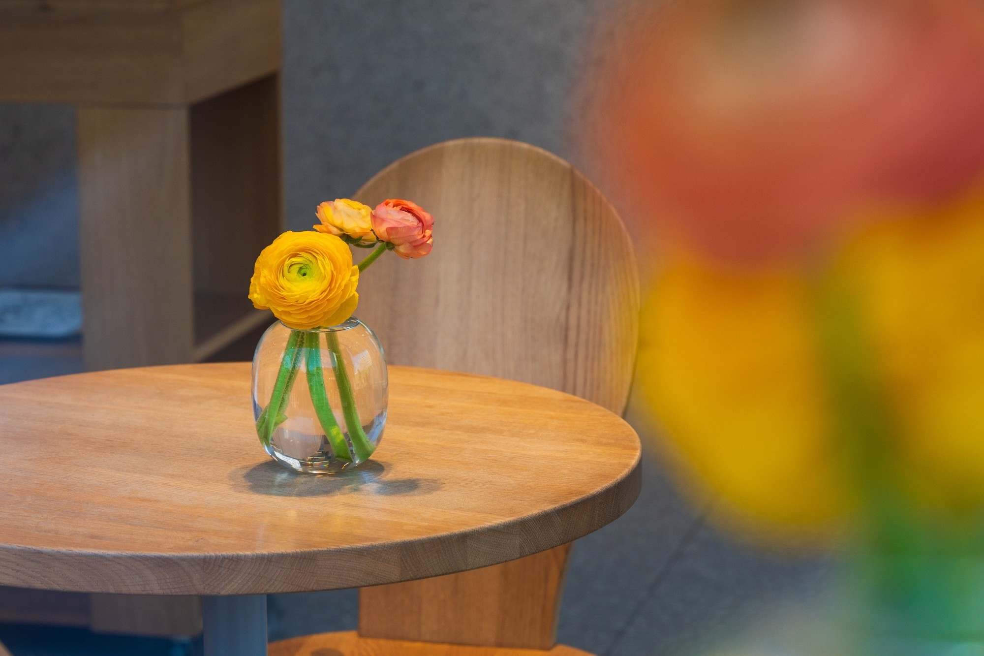 轻便入门之选 尼克尔 Z 24-105mm f/4-7.1镜头评测