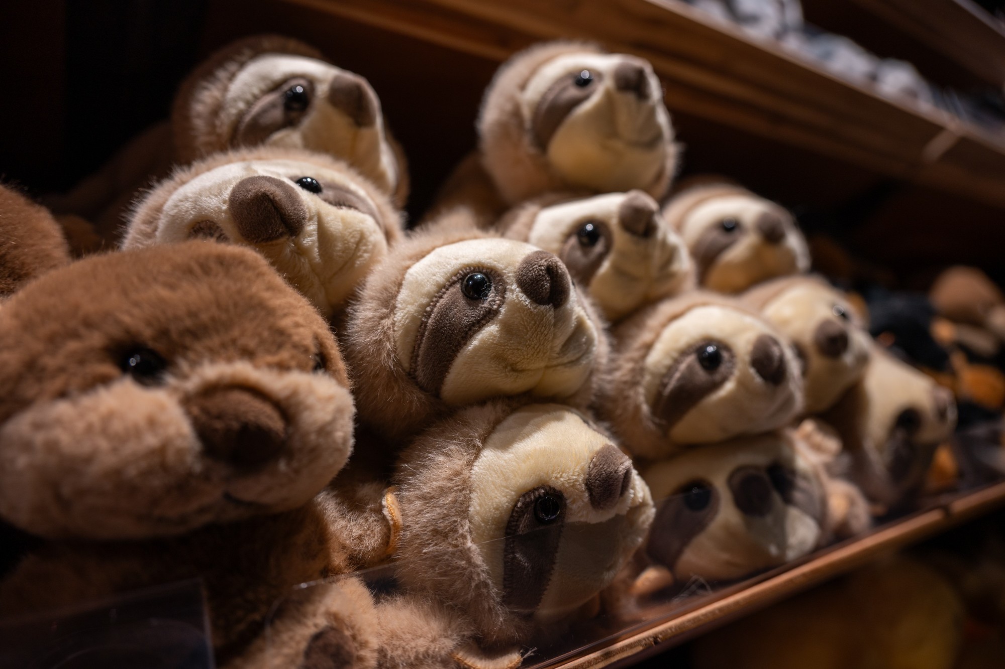 轻便入门之选 尼克尔 Z 24-105mm f/4-7.1镜头评测