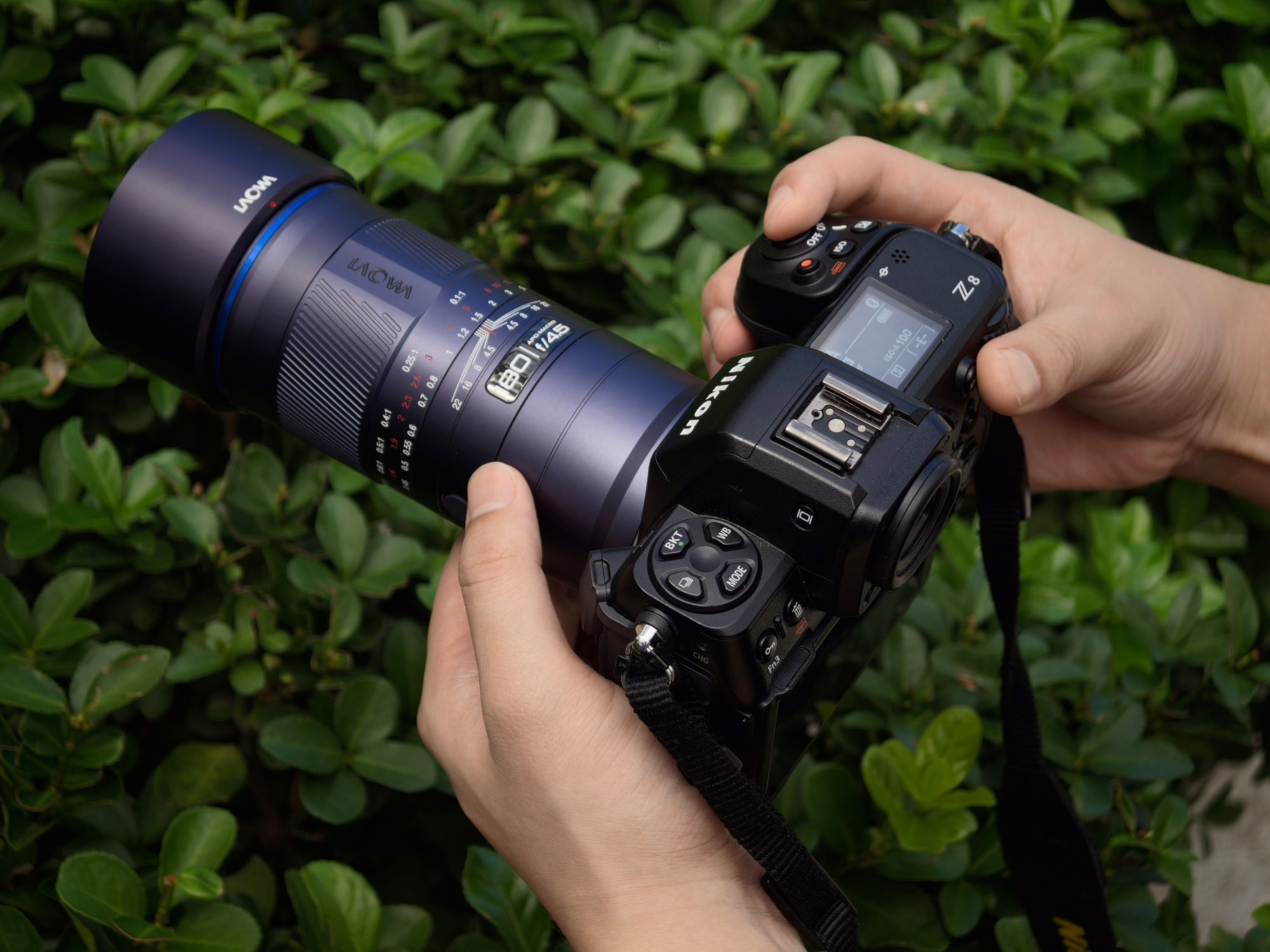 1.5倍放大微距镜头 老蛙FF180mm F4.5 CA-Dreamer 1.5X微距镜头促销
