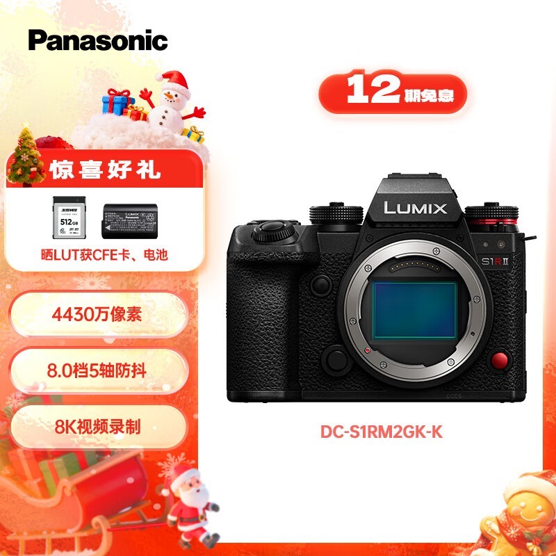 Panasonic LUMIX S1RM2ֱ��1000