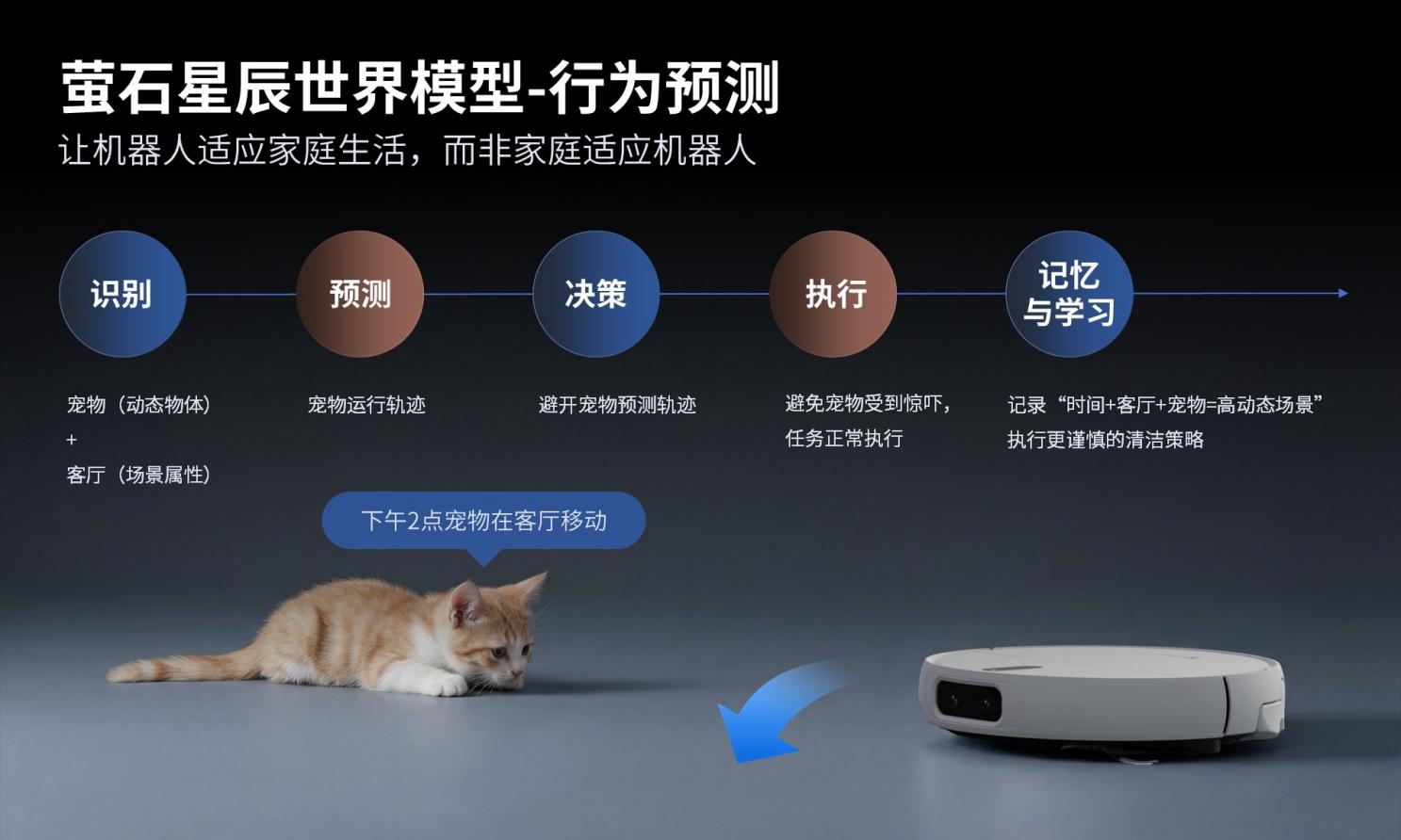 �ӡ��������ࡱ������ʪ���롱��өʯStella�ǳ�ϵ����˫��˫�Ⱥ�AI�ع��������