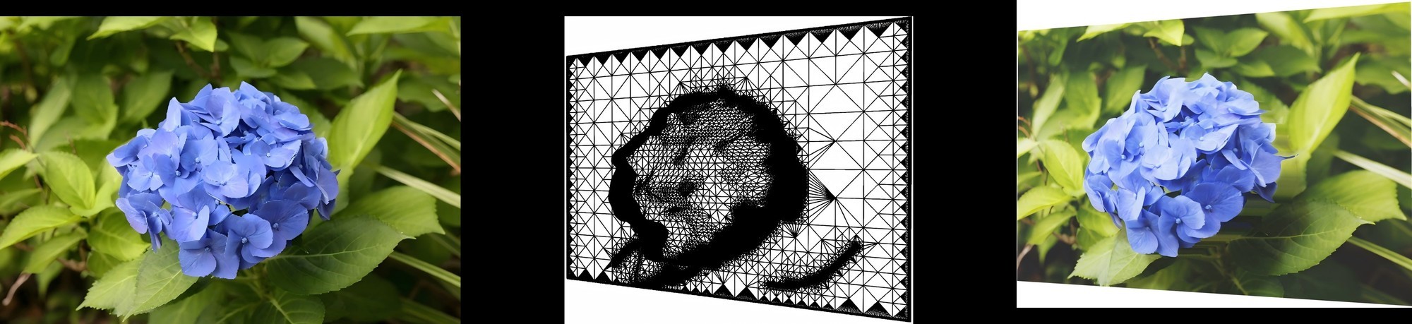 佳能发布DualPixel 3D Converter应用软件,可将照片生成3D模型