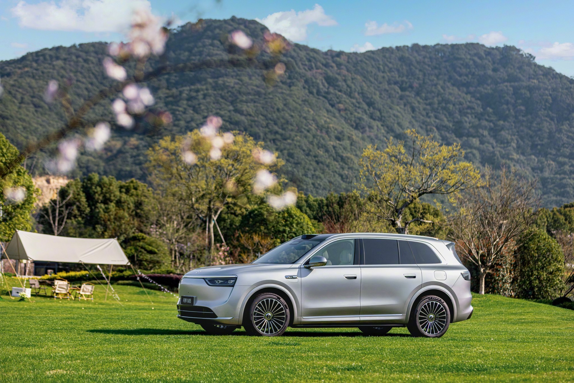 ��������ѡ����ḻ 2026�߶�SUV�Ʋ������Ŀ�