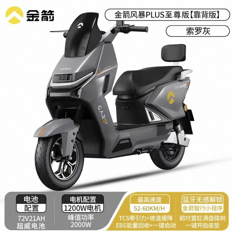 金箭 风暴 PLUS 至尊版电动摩托车 72V21Ah 超威电池