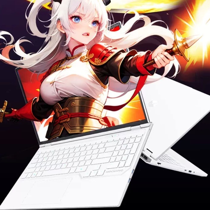 机械革命 蛟龙16Pro 潮玩版 R9-8940HX 5060 16G 512G