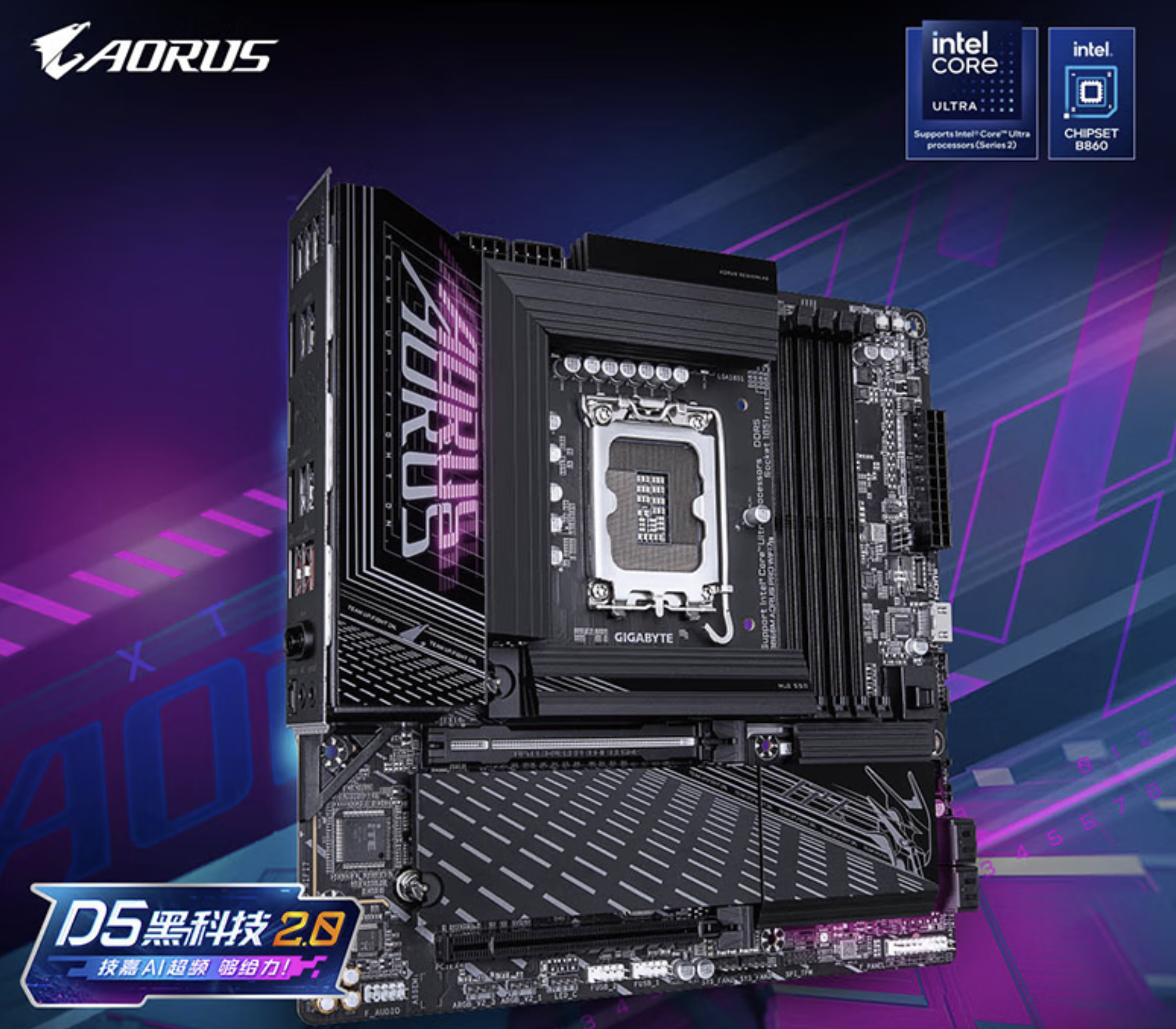 ���װ��Ӣ�ض������Ƽ� �������������벻��